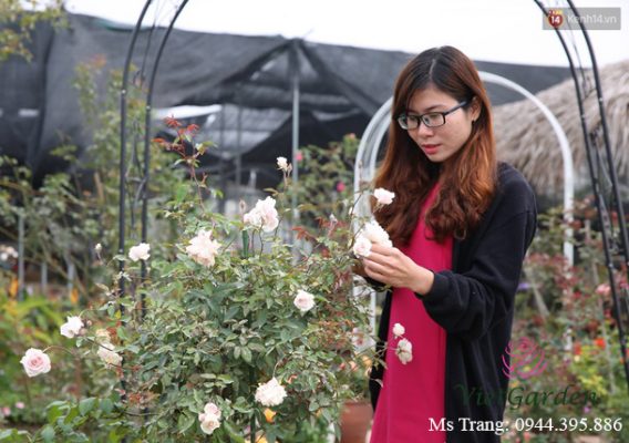 Giới thiệu về cô chủ Thiên Trang - Pansy Phạm