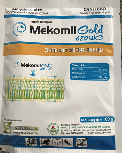 Lưu ý cách trồng và chăm sóc hoa hồng vào mùa mưa ở miền Bắc