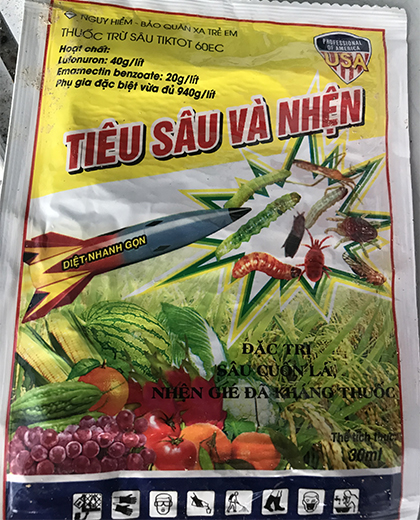 Lưu ý cách trồng và chăm sóc hoa hồng vào mùa mưa ở miền Bắc