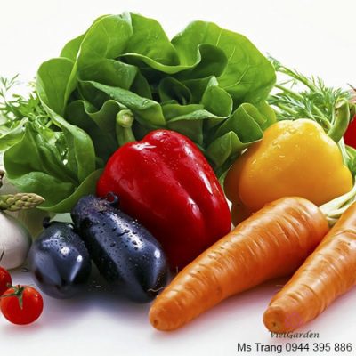 Chế phẩm đỗ tương – phân bón cho rau sạch, rau hữu cơ