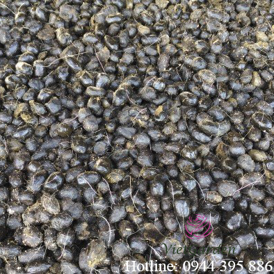 Phân dê cho hoa hồng