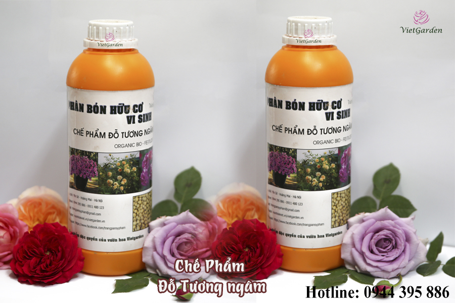 Phân bón đậu tương