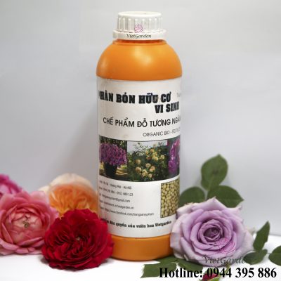 Phân bón đậu tương cho hoa hồng