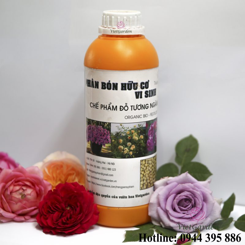 Phân bón đậu tương cho hoa hồng