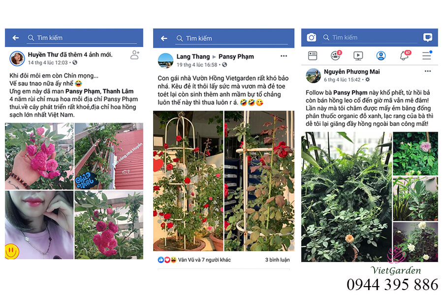 Phân bón sinh học kích ra hoa (15)