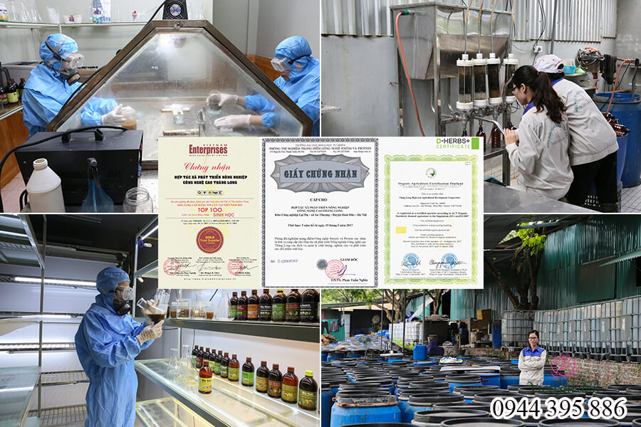 Thuốc trừ sâu sinh học cho hoa hồng Bio Meta (4)