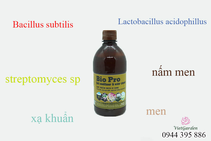 chế phẩm men vi sinh