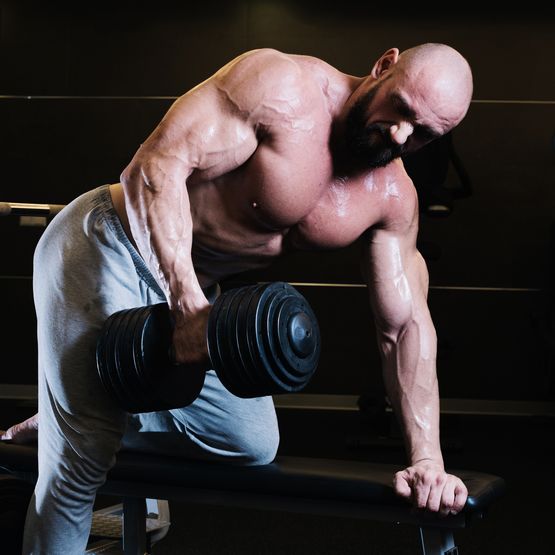 Ipamorelin 10 mg Nouveaux dans le domaine de la musculation